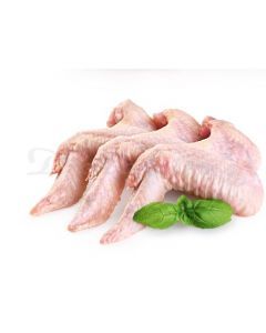 FRESH CHICKEN WINGS