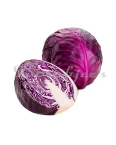 DORABJEES RED CABBAGE