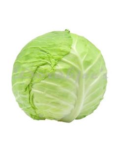 DORABJEES CABBAGE 1 PCS