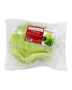 GREEN TOKRI ICE BERG LETTUCE