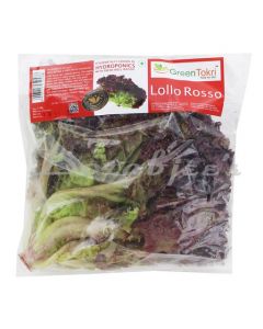 GREEN TOKRI LOLLO ROSSO LETTUCE