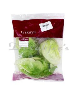 TRIKAYA FARMS  LETTUCE ICEBERG 1 KG