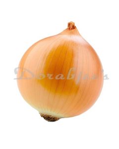 DORABJEES ONION