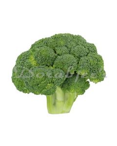 DORABJEES  BROCCOLI