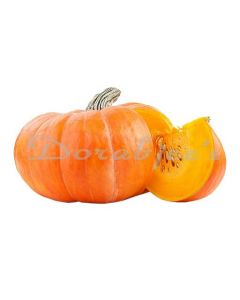 DORABJEES PUMPKIN RED