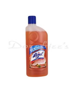 LIZOL DISINFECTANT SURFACE CLEANER SANDAL 500ML