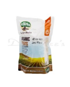 GO EARTH  BARLEY FLOUR 500 G