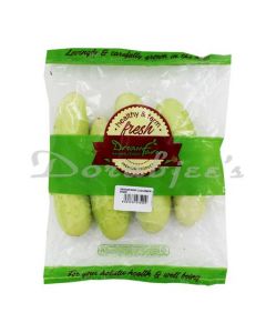 DREAMFARM CUCUMBER 500G