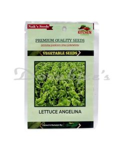 NAIKS SEEDS-LETTUCE(ANGELINA)