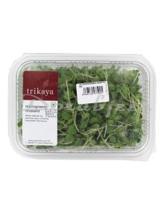 TRIKAYA FARMS  MICROGREEN MUSTARD