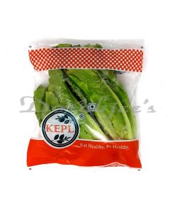 KEPL ROMAIN GREEN 1 PC