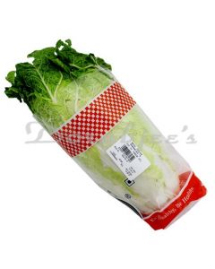 KEPL CHINESE CABBAGE (PC)