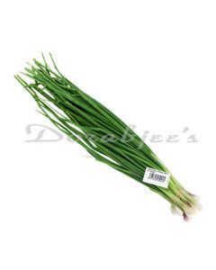 GAYATRIS SPRING ONION 1 PACK