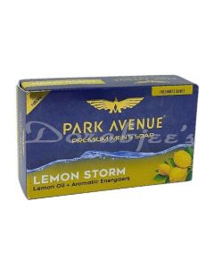 PARK AVENUE MEN LEMON STORM SOAP 125G