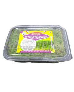 SHREENATH AGRO  WHEET GRASS 100G