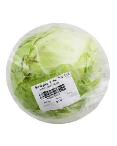 RAJMATA'S CABBAGE 1KG (BR)